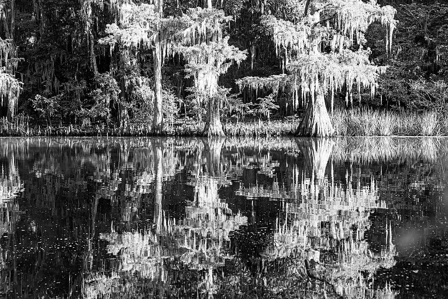 Caddo Lake-005-M Photograph by David Allen Pierson - Fine Art America