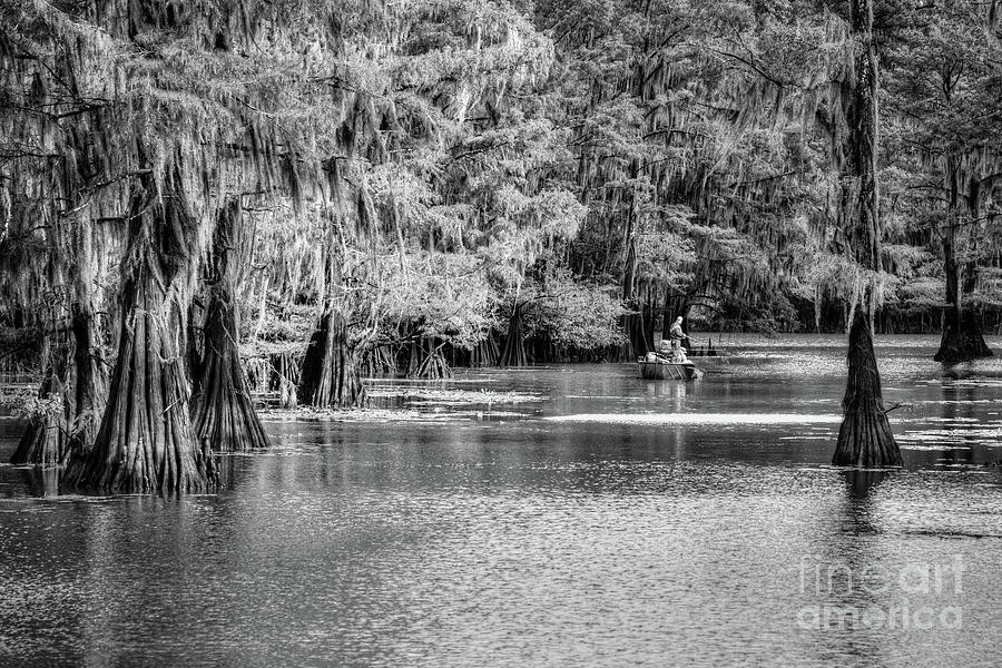 Caddo Lake 4057BW Photograph by Lawrence Burry