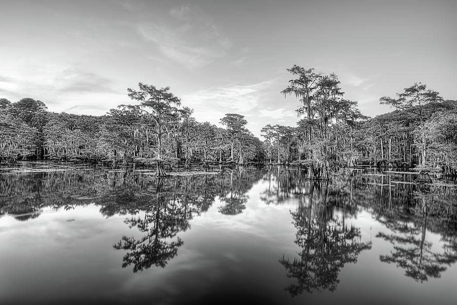 Caddo Lake Calm Black and White Photograph by JC Findley