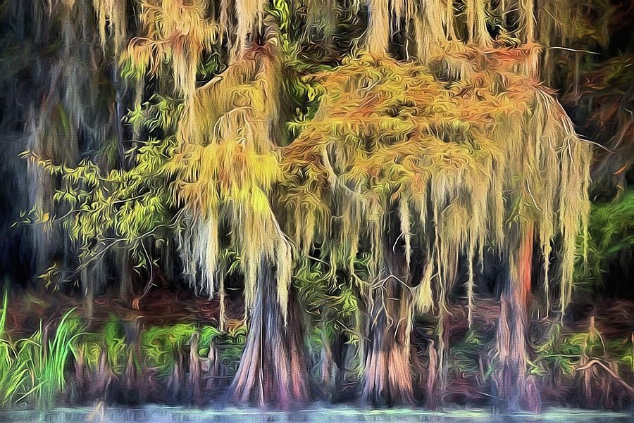 Caddo  Lake Fall Colors Digital Art by JC Findley