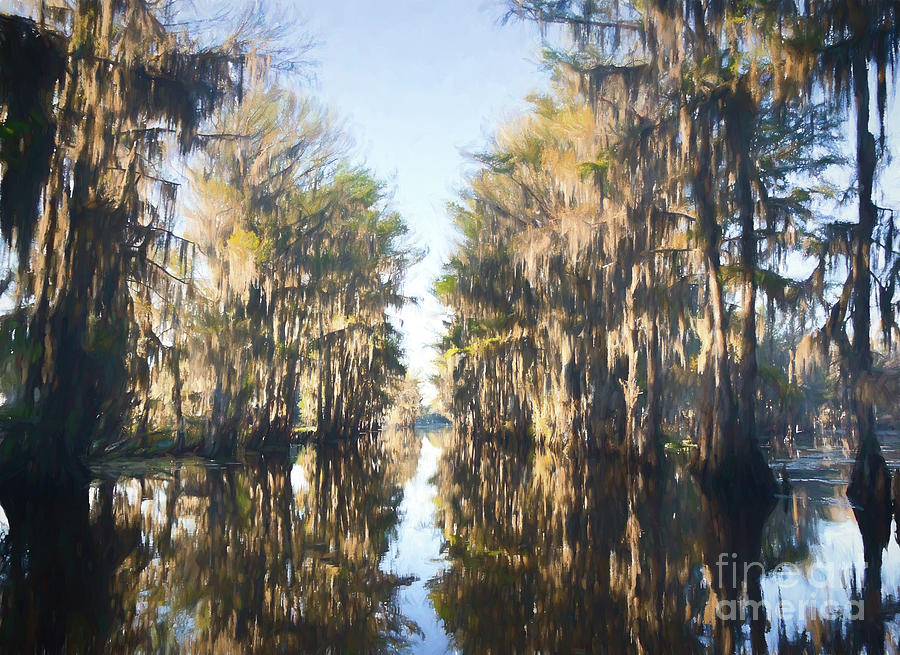 Caddo Lake Painting Photograph by Andrea Anderegg