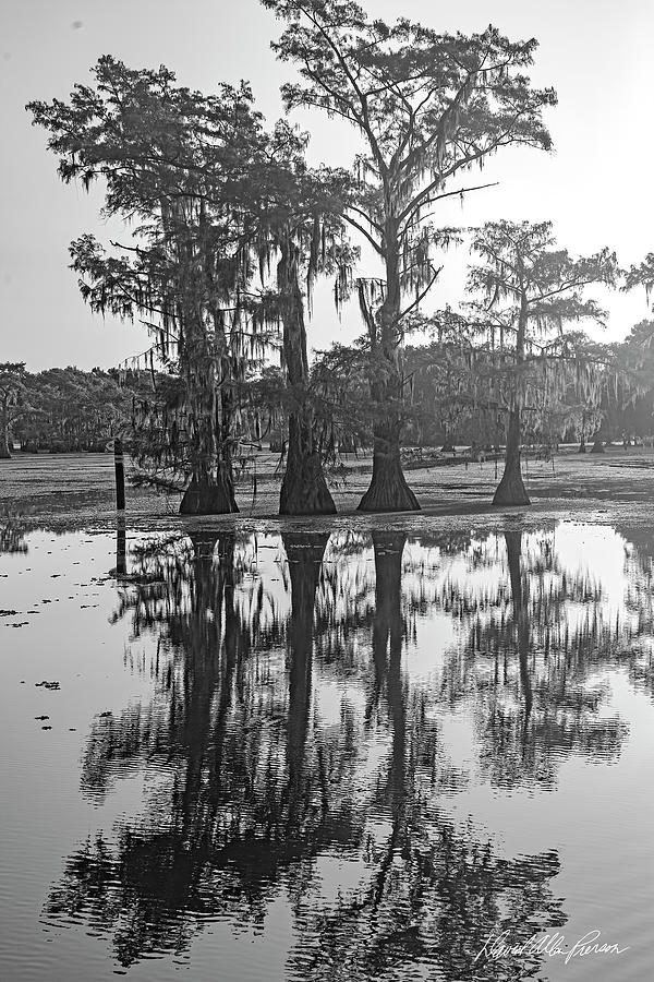 Caddo Lake-Series-002-M Photograph by David Allen Pierson