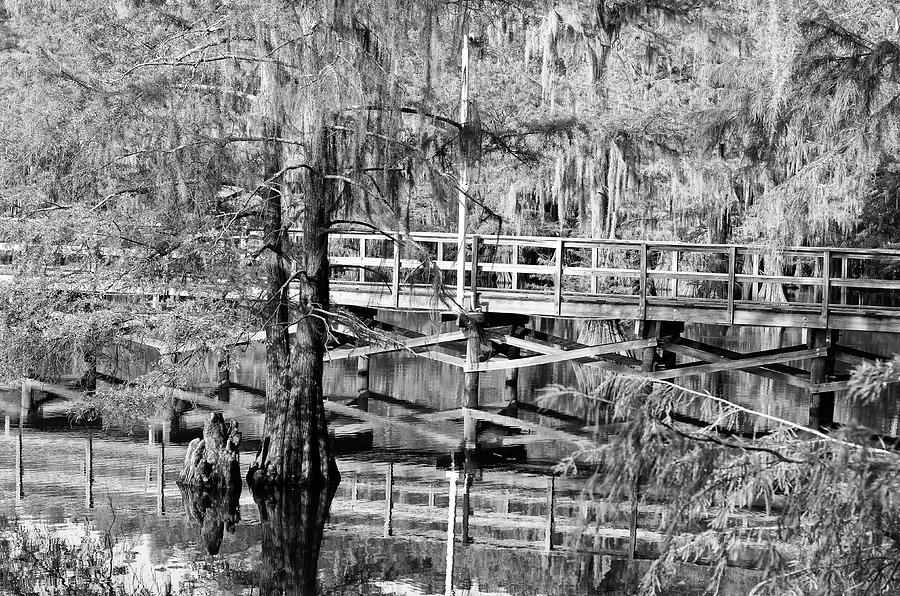 Caddo Lake State Park Mill Pond Bayou Wooden Pier Profile Texas Black and White Photograph by Shawn OBrien
