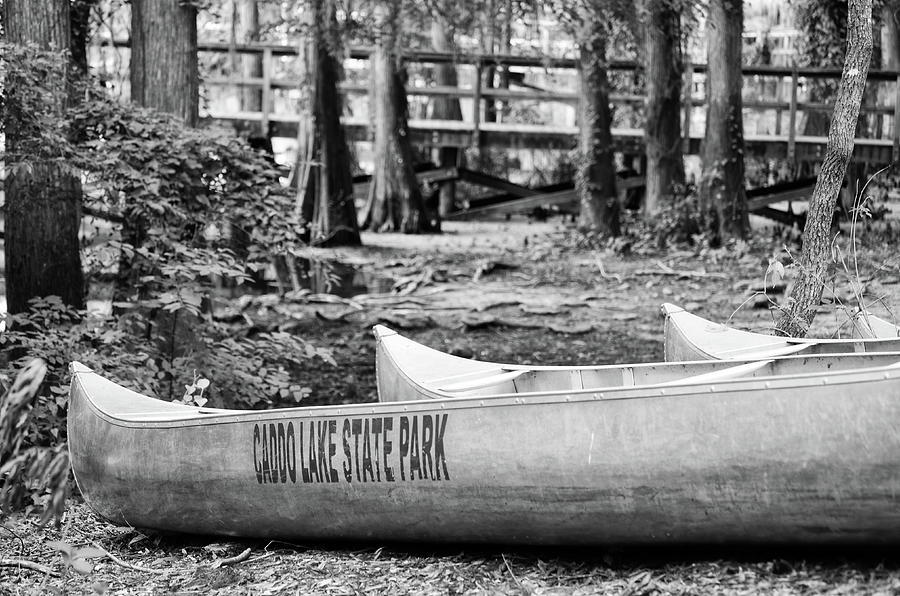 Caddo Lake State Park Mill Pond Silver Canoes Texas Black and White Photograph by Shawn OBrien