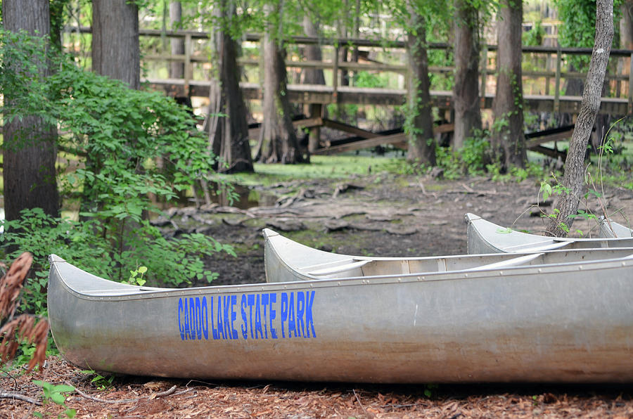 Caddo Lake State Park Mill Pond Silver Canoes Texas Photograph by Shawn OBrien
