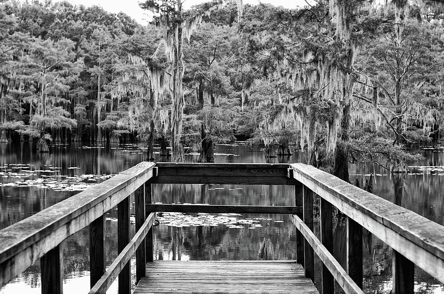 Caddo Lake State Park Mill Pond Wooden Pier Black and White Photograph by Shawn OBrien