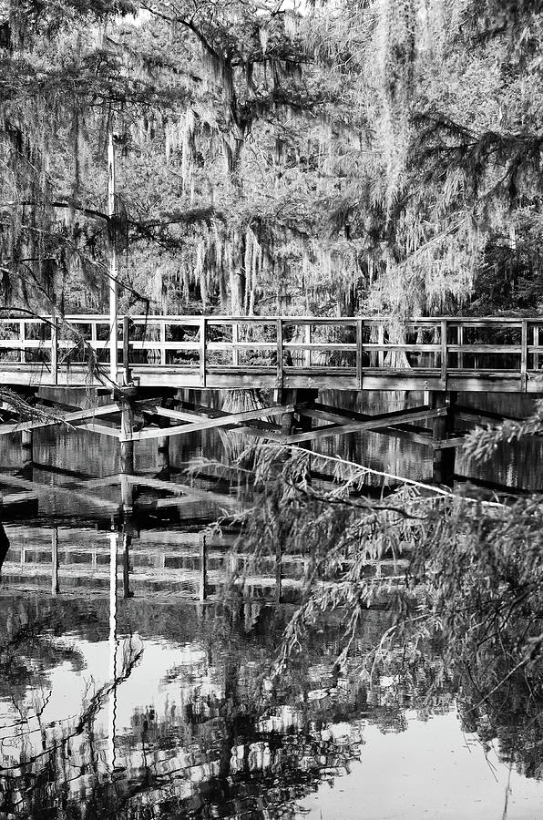 Caddo Lake State Park Mill Pond Wooden Pier Reflection Texas Black and White Photograph by Shawn OBrien