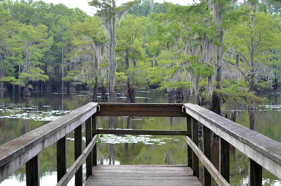 Caddo Lake State Park Mill Pond Wooden Pier Texas Photograph by Shawn OBrien