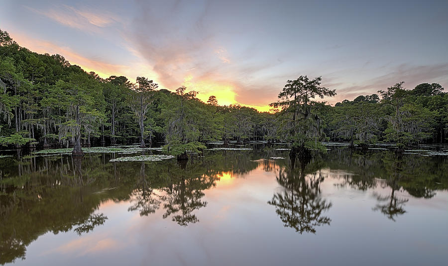 Caddo Lake Sunset Photograph by JC Findley
