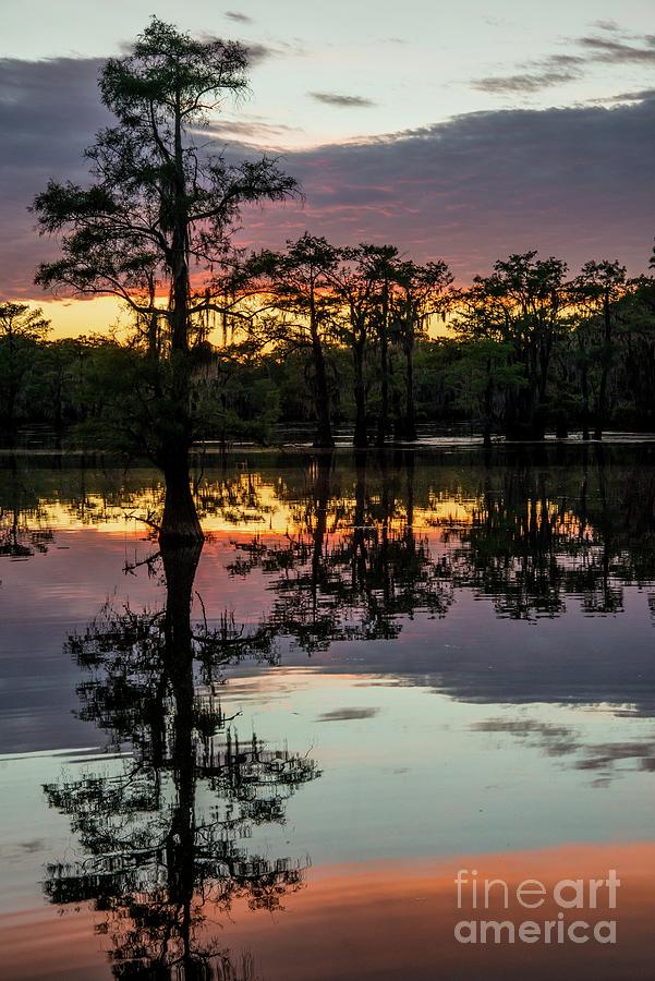 Caddo Lake Sunset Photograph by Michael Tidwell