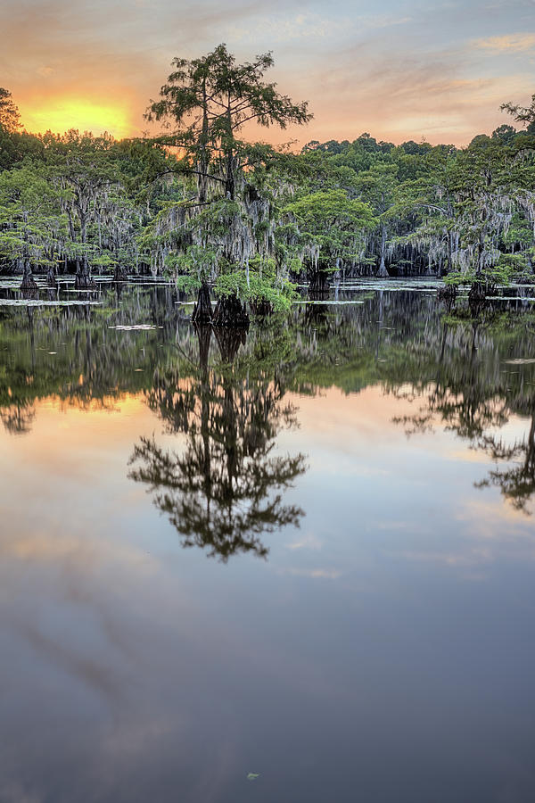 Caddo Lake Sunset V Photograph by JC Findley
