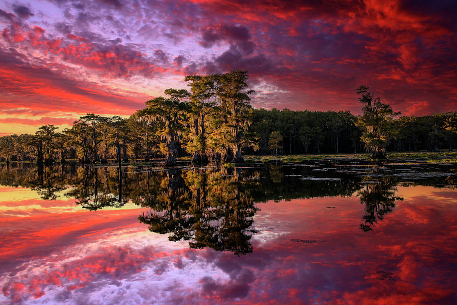 Caddo Lake Texas Sunset Photograph by Steve Snyder