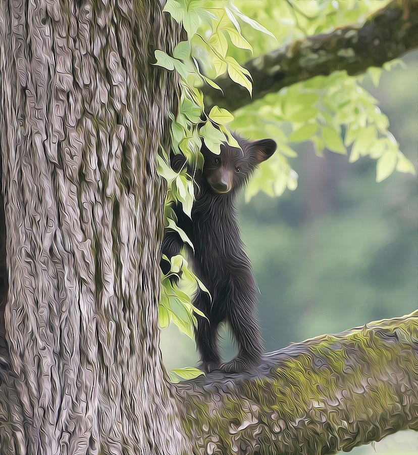 Cades Cove - Black Bear Cub Standing On Tree Limb - Oil Painting ...