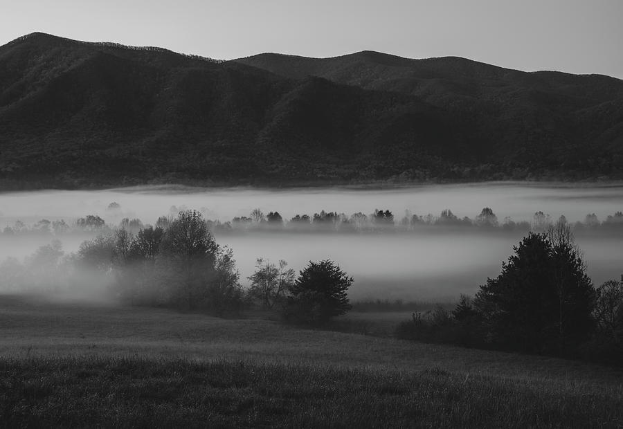 Cades Cove Fog Black And White Photograph by Dan Sproul