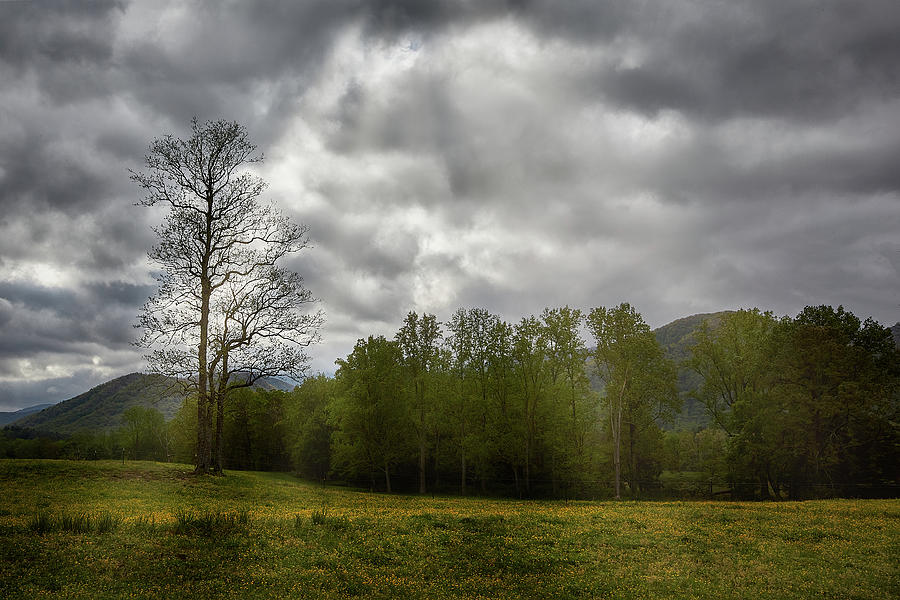 Nature Photograph - Cades Cove God Rays. by Jon Glaser