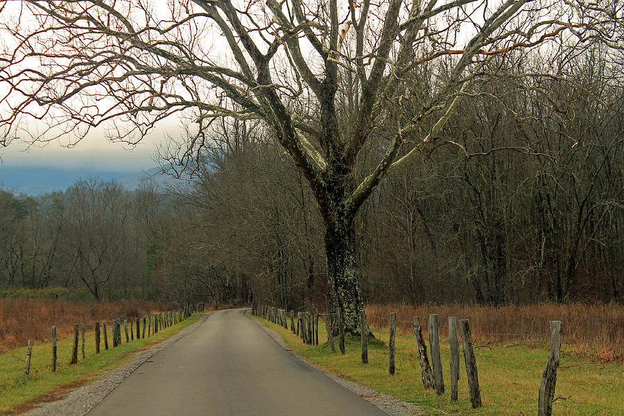 Cades Cove Photograph by Jamie Tyler