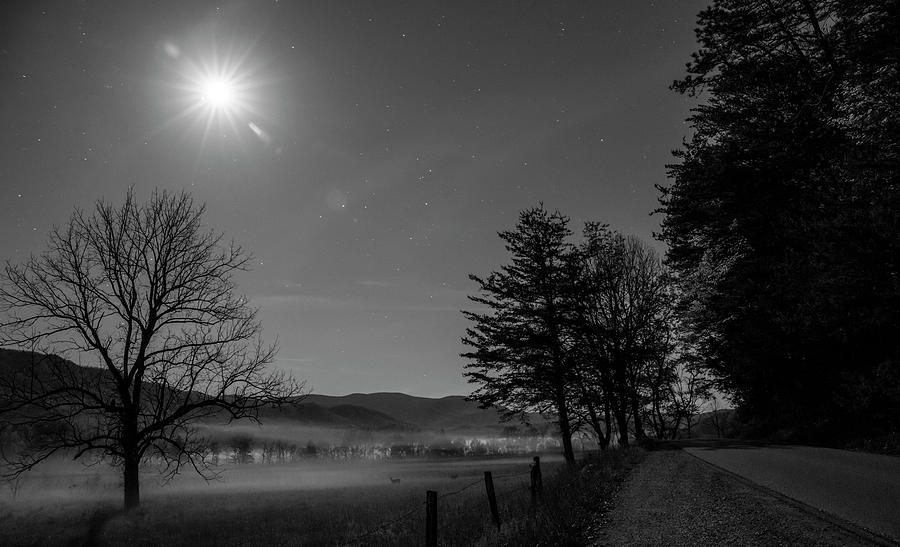 Cades Cove Loop Road At Night Photograph by Dan Sproul