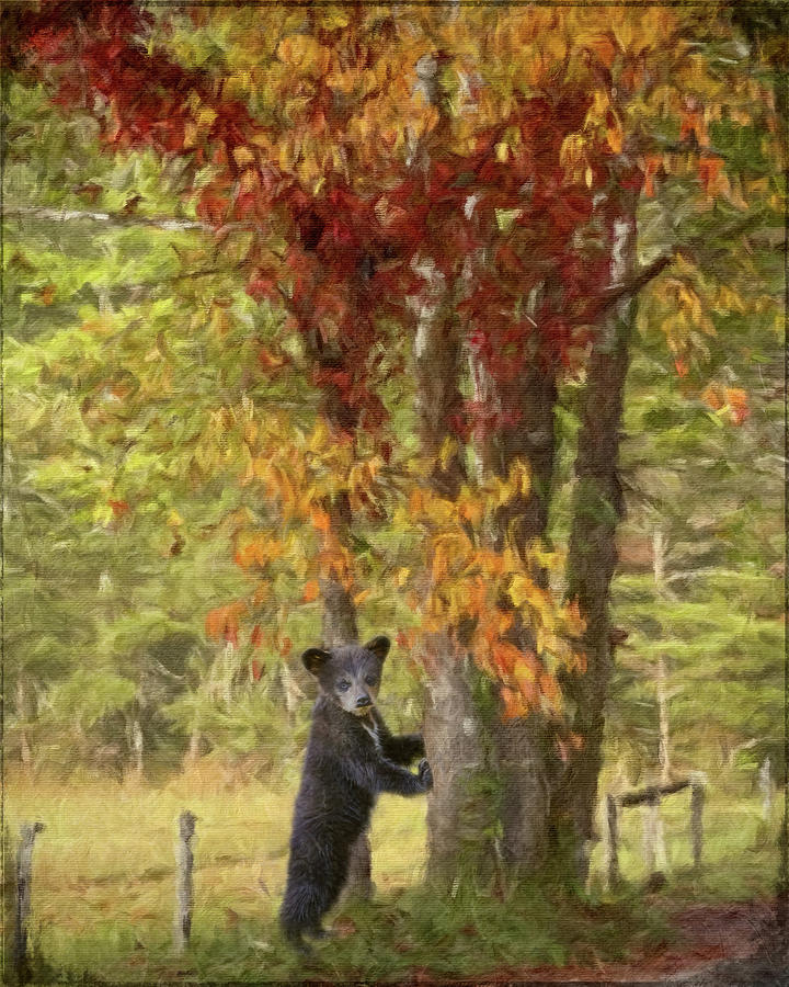 Cades Cove Digital Art by Mary Jo Cox - Pixels