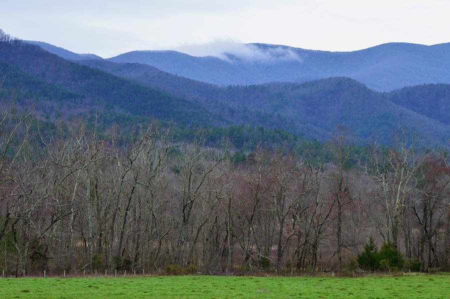 Cades Cove Meadow  Photograph by Warren Thompson