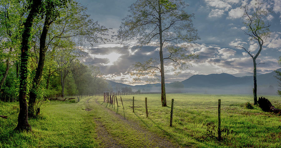 Cades Cove Morning Along Sparks Lane Photograph by Marcy Wielfaert
