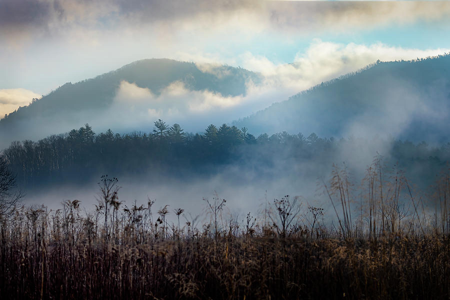 Cades Cove Morning Layers Photograph by Theresa D Williams