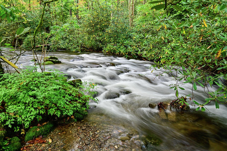 Cades Cove Mountain Stream Photograph by Ed Stokes
