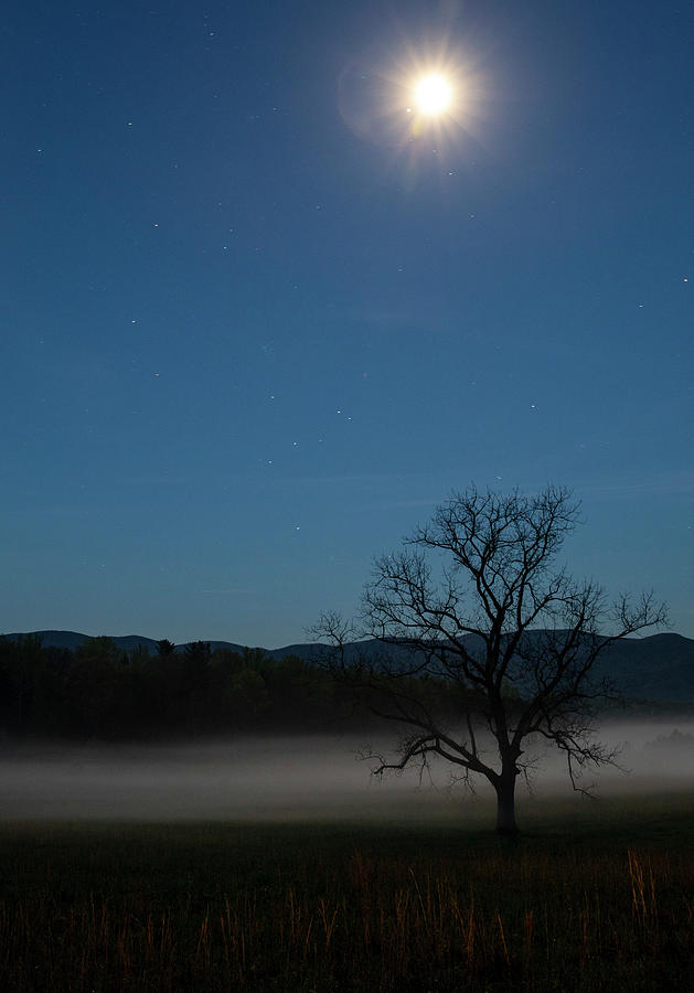 Cades Cove Nightfall Photograph by Dan Sproul