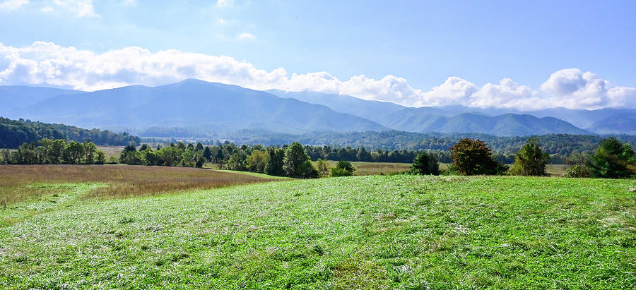 Cades Cove overlook Photograph by Ed Stokes