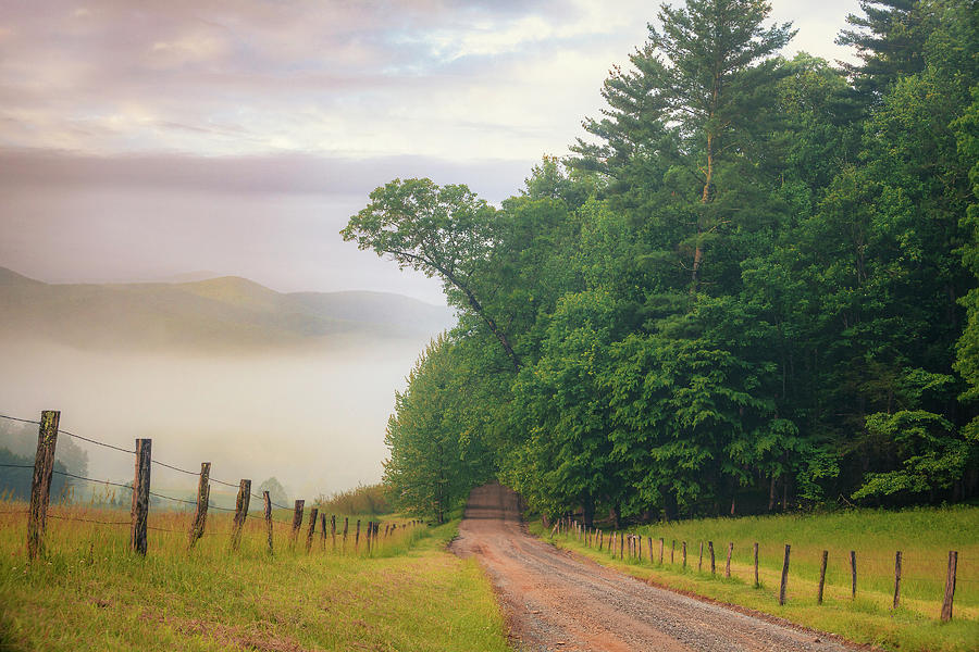 Cades Cove Road Photograph by Andrew Soundarajan