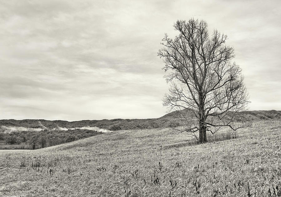 Cades Cove Scenic B And W Photograph By Bill Chambers - Pixels