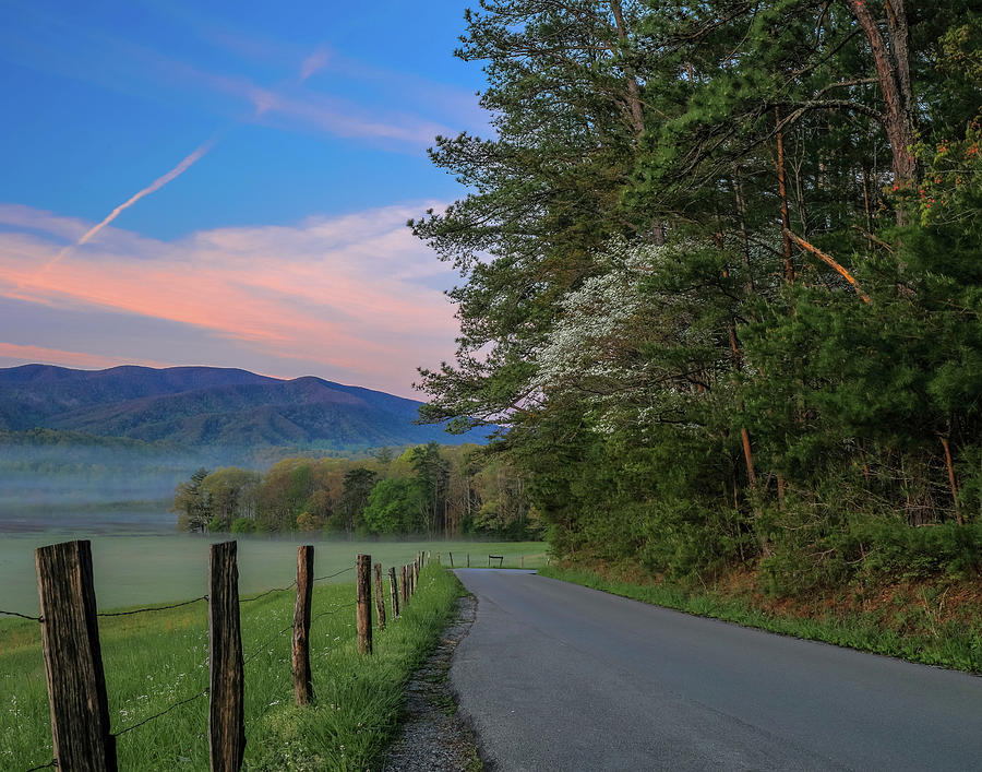 Cades Cove Sunrise Road Photograph by Dan Sproul