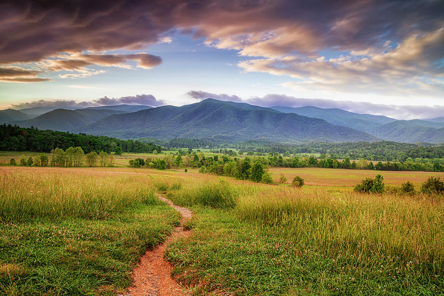 Cades Cove Trail Photograph by Andrew Soundarajan