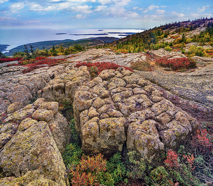 Acadia National Park Photograph - Cadillac Mountain, Acadia National Park, Maine by Tim Fitzharris