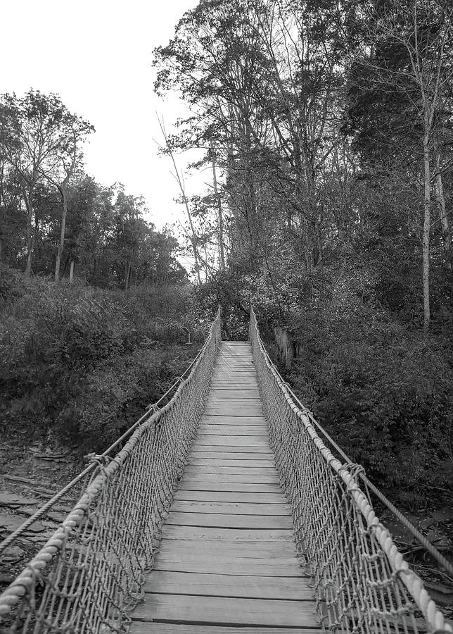 Caesar Creek Hanging Bridge Black And White Photograph by Dan Sproul