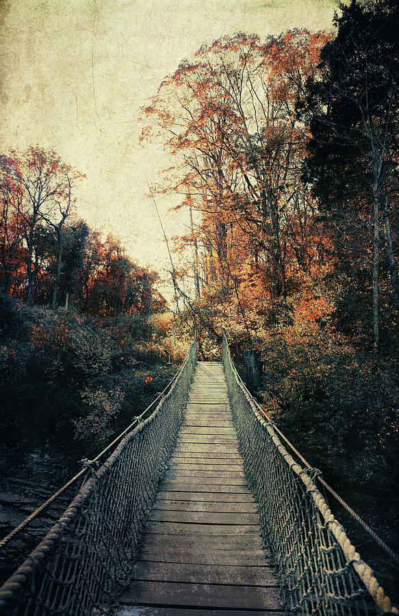 Caesar Creek Hanging Bridge Textured Retro Photograph by Dan Sproul