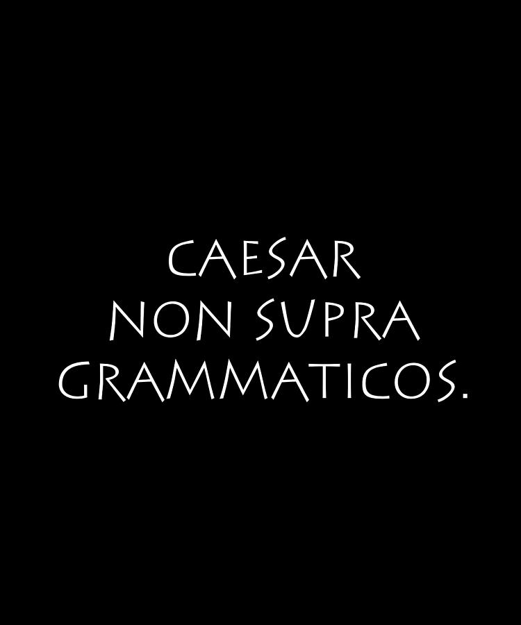 Caesar non supra grammaticos Digital Art by Vidddie Publyshd | Fine Art ...