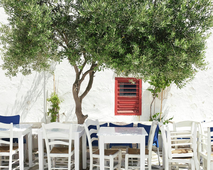Cafe Under and Olive Tree Photograph by Lupen Grainne