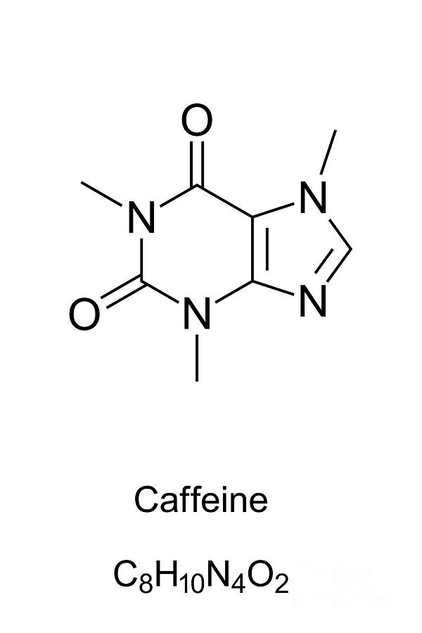 Caffeine molecule, theine, skeletal formula Digital Art by Peter Hermes ...