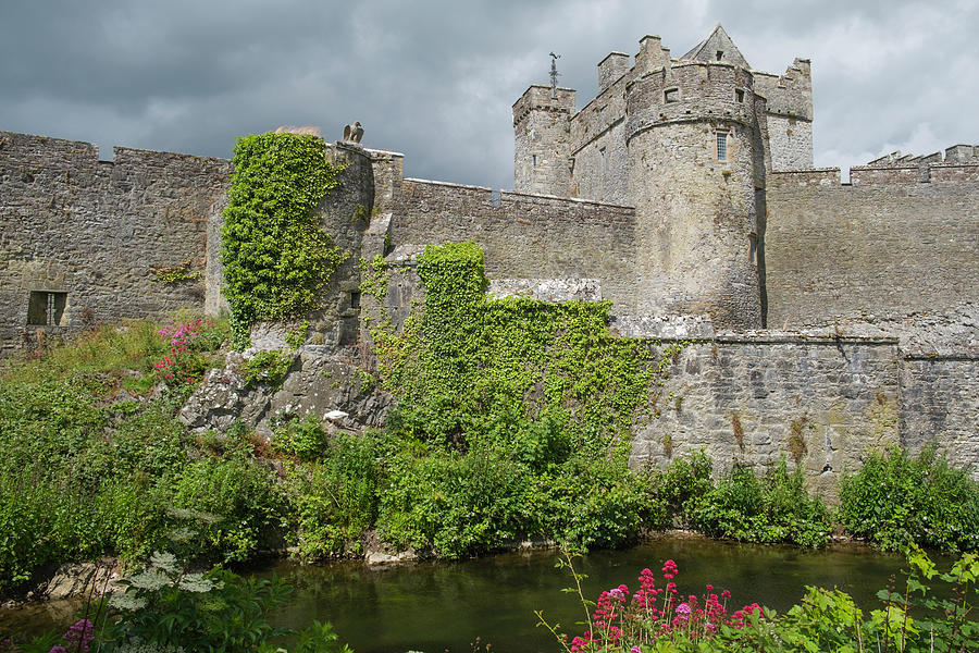 Cahir Castle Photograph by David L Moore