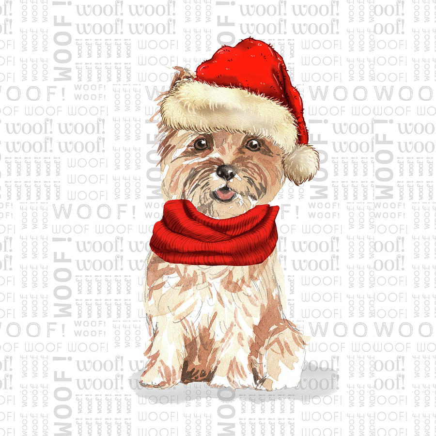Cairn Terrier Christmas Digital Art by Doreen Erhardt