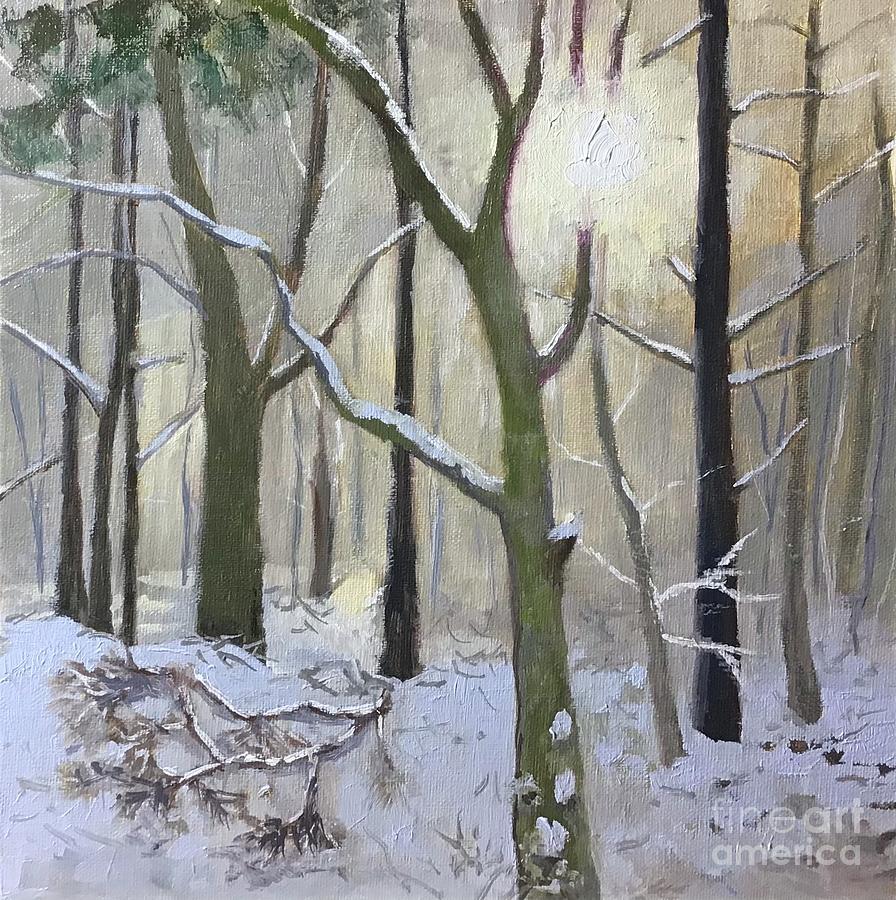 Snow Shine Painting by Anne Marie Brown