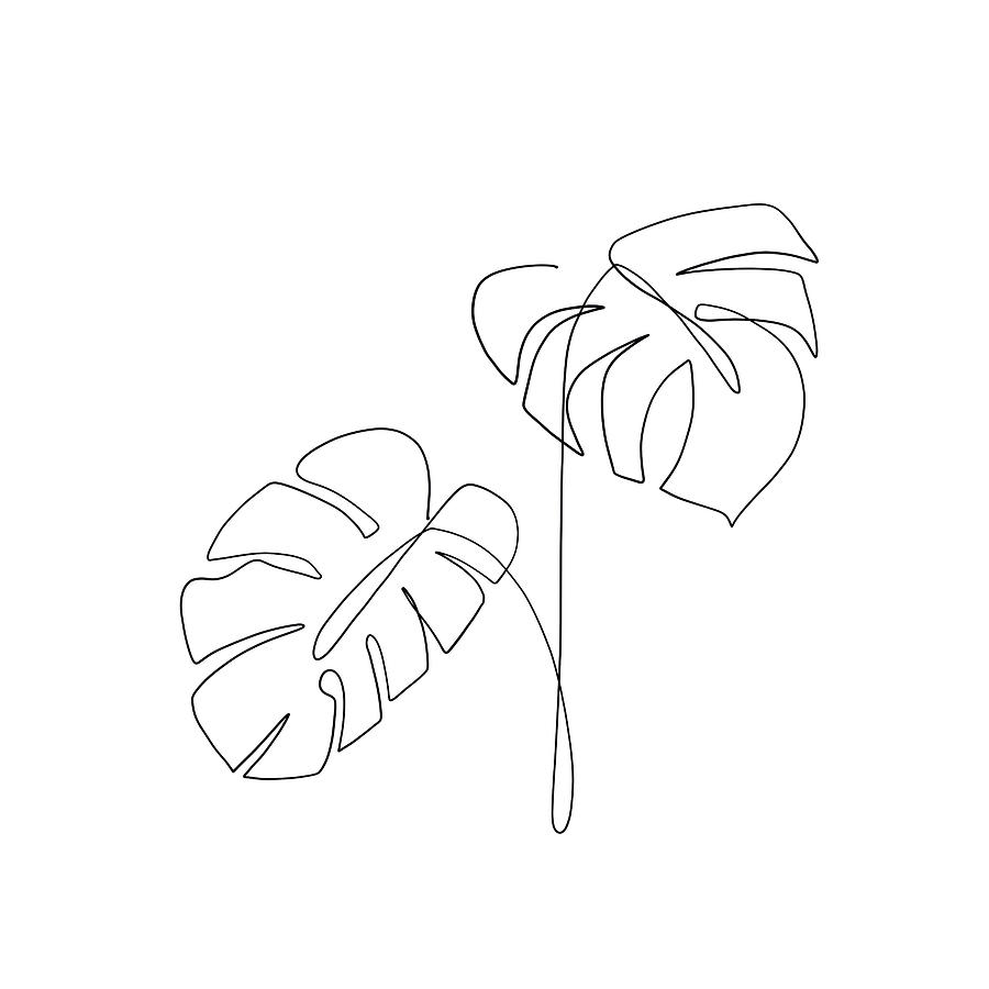 Caitronia - Minimal, Modern - Abstract Palm Leaf Line Art Digital Art by Studio Grafiikka