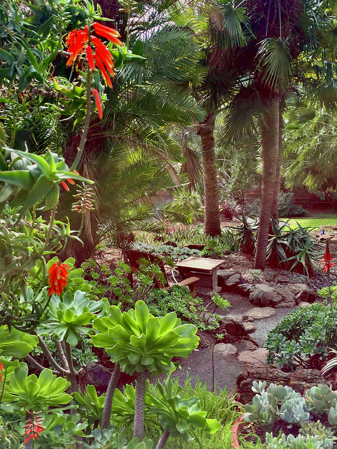 Cal Poly Arboretum Photograph by Charlotte Daigle - Fine Art America