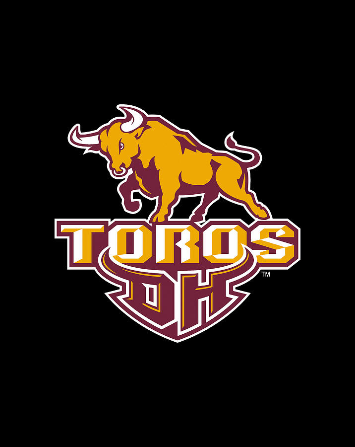 Cal State Dominguez Hills Toros College Ppcsd02 Tee T Shirt Sweatshirt Pullover Hoodie Digital 5454