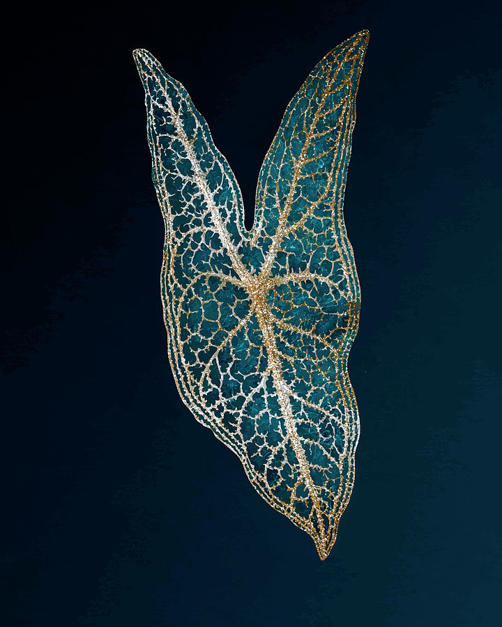Nature Digital Art - Caladium Belleymelengraved by Benjamin Fawcett by Celestial Images