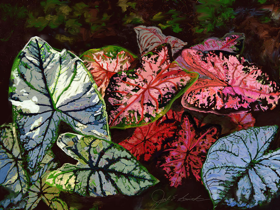 Caladium Cluster Painting by Joel Smith