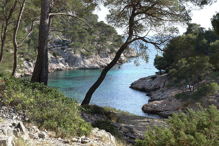 Calanque de Port Pin Photograph by Eric BRENAC - Pixels