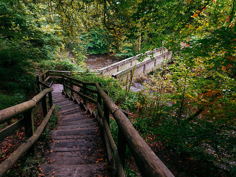Pathway Photograph - Calderglen Autumn 2021 - 09 by David Gallie