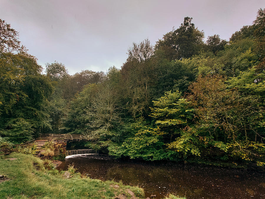 Pathway Photograph - Calderglen Autumn 2021 - 16 by David Gallie