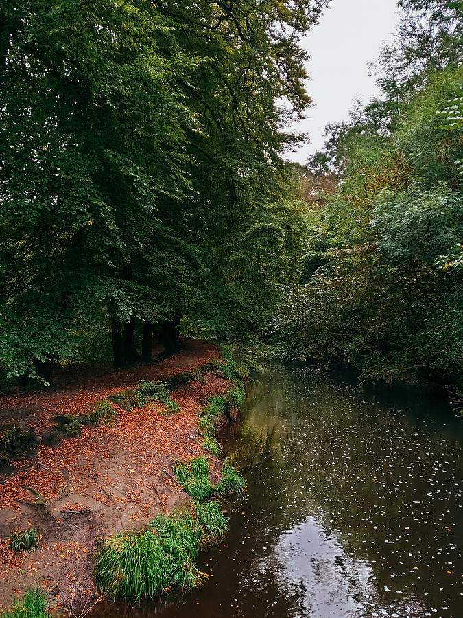 Pathway Photograph - Calderglen Autumn 2021 - 18 by David Gallie Pathway Photograph - Calderglen Autumn 2021 - 18 by David Gallie